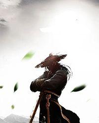 绝对服从全文免费读