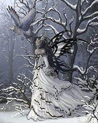 南半球与北半球海陆分布图